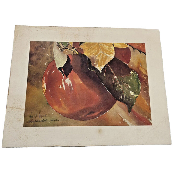 Hugh M. Williams Original Art Peach / Apple Fruit Still Life Painting Watercolor